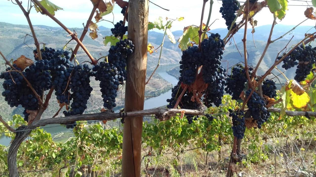 Stay At The Winemaker Ervedosa do Douro Exterior photo