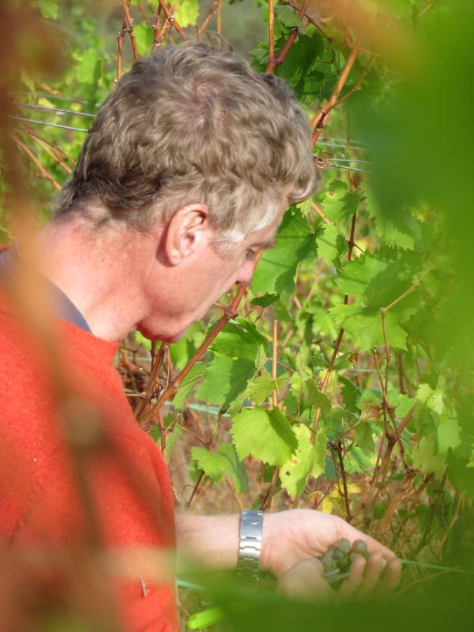 Stay At The Winemaker Ervedosa do Douro Exterior photo