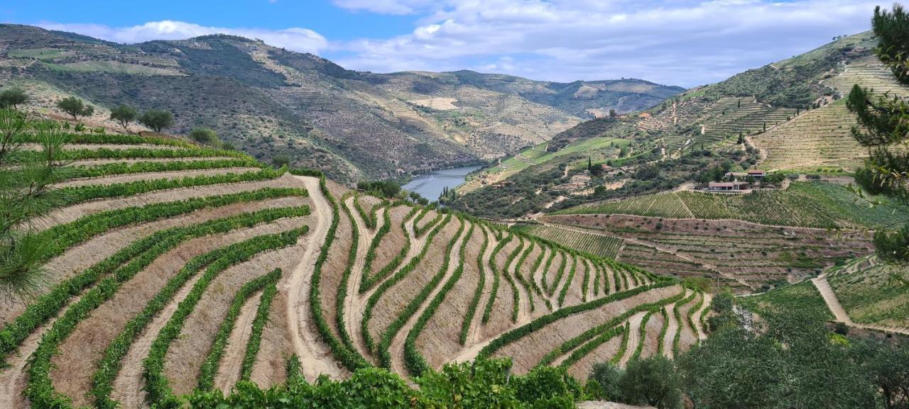 Stay At The Winemaker Ervedosa do Douro Exterior photo