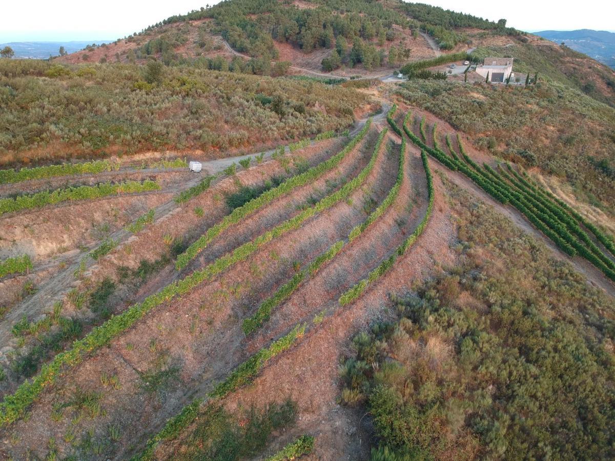 Stay At The Winemaker Ervedosa do Douro Exterior photo