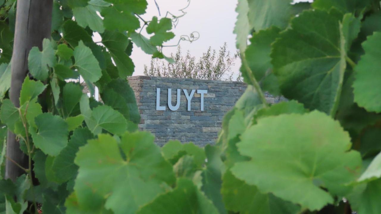 Stay At The Winemaker Ervedosa do Douro Exterior photo